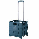 フォールディング　キャリーカート キャリーカート キャリーケース 折りたたみ キャリーワゴン 台車 耐荷重 25kg 軽量 コンパクト プラスチック製 アウトドアワゴン 小型 ミニ ぼん家具