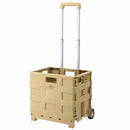 フォールディング　キャリーカート キャリーカート キャリーケース 折りたたみ キャリーワゴン 台車 耐荷重 25kg 軽量 コンパクト プラスチック製 アウトドアワゴン 小型 ミニ ぼん家具