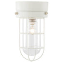 シーリングライト 1灯 マリンライト シーリングライト LED おしゃれ 照明器具 天井照明 ガラス マリンランプ レトロ 北欧 スチール 口金 e17 2畳 3畳 トイレ 寝室 玄関 ぼん家具