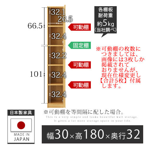 壁面収納〔幅30cm・本体〕