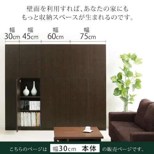 壁面収納〔幅30cm・本体〕