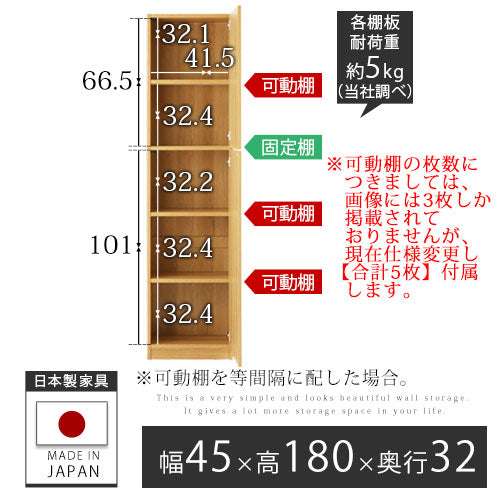 壁面収納〔幅45cm・本体〕