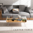 スタイリッシュセンターテーブル テーブル センターテーブル ローテーブル ガラス おしゃれ 棚付き 木製 収納 モダン スリム コンパクト 座卓 リビング 長方形 脚 スチール ぼん家具