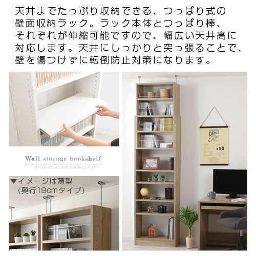つっぱり式壁面収納ラック〔深型・幅60cm〕