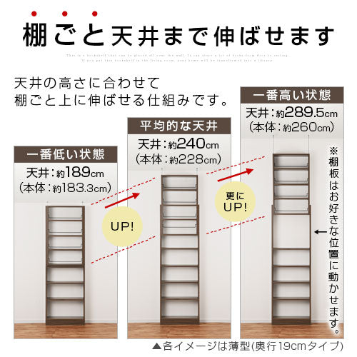 つっぱり式壁面収納ラック〔深型・幅60cm〕