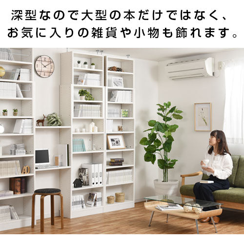 つっぱり式壁面収納ラック〔深型・幅60cm〕