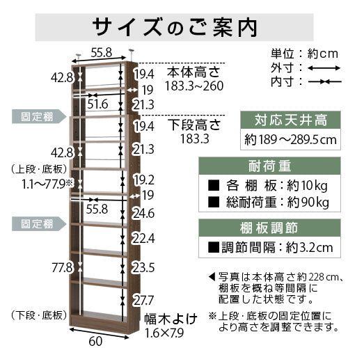 突っ張りラック 本棚 高さ調整可能 ぼん家具 つっぱり式壁面収納ラック 本体 薄型 幅60cm×奥行19cm