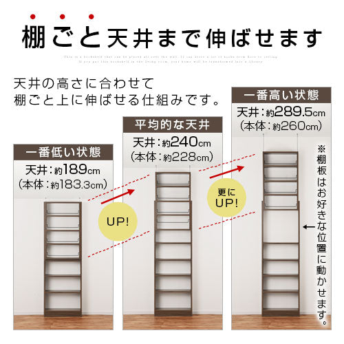 つっぱり式壁面収納ラック 本体〔薄型〕幅60cm×奥行26cm 本棚