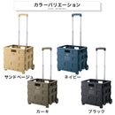 フォールディング　キャリーカート キャリーカート キャリーケース 折りたたみ キャリーワゴン 台車 耐荷重 25kg 軽量 コンパクト プラスチック製 アウトドアワゴン 小型 ミニ ぼん家具