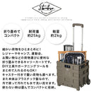 フォールディング　キャリーカート キャリーカート キャリーケース 折りたたみ キャリーワゴン 台車 耐荷重 25kg 軽量 コンパクト プラスチック製 アウトドアワゴン 小型 ミニ ぼん家具
