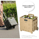 フォールディング　キャリーカート キャリーカート キャリーケース 折りたたみ キャリーワゴン 台車 耐荷重 25kg 軽量 コンパクト プラスチック製 アウトドアワゴン 小型 ミニ ぼん家具