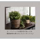 オープンラック〔4段タイプ〕 オープンラック DVDラックCDラックDVD収納コミックラックデザイン家具壁面収納木目調シェルフ多目的ラック本収納 オープンラック 4段タイプ ぼん家具