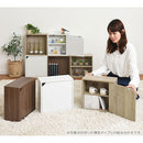 キューブボックス収納〔幅35cm・薄型〕 カラーボックス キューブボックス 収納ボックス 棚 2段 収納棚 扉付き 薄型 スリム 木製 おしゃれ 北欧 棚付き 収納 正方形 35cm 積み重ね ミニ ぼん家具