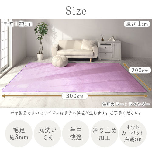 ラグマット〔200×300cm〕