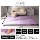 高級低反発ラグ〔200×250cm〕 ラグ 低反発 極厚 25mm ラグマット おしゃれ 北欧 カーペット ふかふか もっちり 200×250 滑り止め付き 防音 オールシーズン ぼん家具