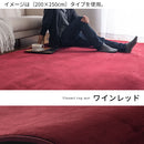 高級低反発ラグ〔200×300cm〕 ラグ カーペット ラグマット おしゃれ 厚手 低反発 絨毯 25mm 200×300 滑り止め付 マイクロファイバー オールシーズン 無地 シンプル ぼん家具