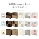 収納ボックス カラーボックス キューブボックス 2段 扉付き リビング収納 本棚 ディスプレイラック 約 幅60 奥行30 高さ60 cm ロータイプ 扉 収納棚 木製 収納 ぼん家具