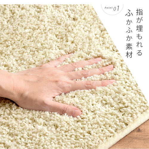 玄関マット〔45×65〕