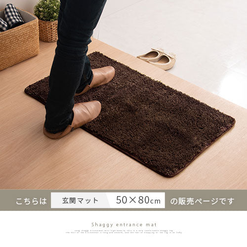 玄関マット〔50×80〕