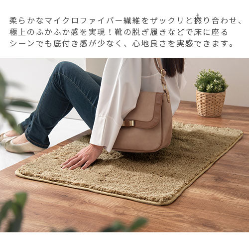 玄関マット〔60×90cm〕