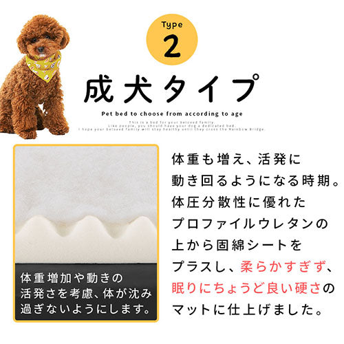 ペットベッド〔Mサイズ〕