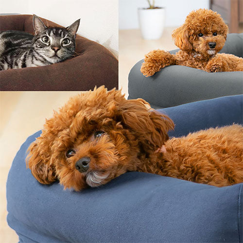 犬 型 ミニチュアダックス ビッグ ベンチ 椅子