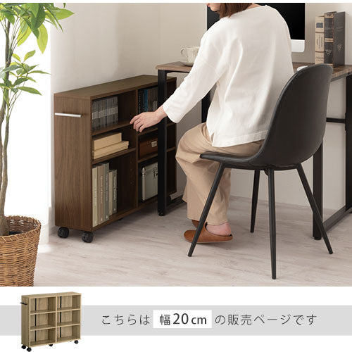 押入れ収納ボックス〔幅20cm〕