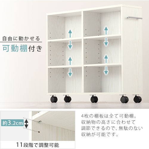 押入れ収納ボックス〔幅20cm〕