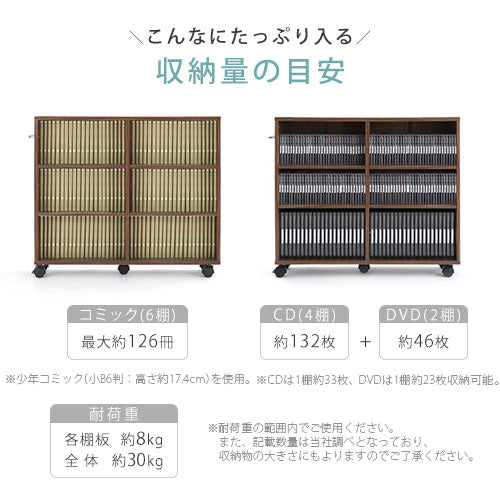 押入れ収納ボックス〔幅20cm〕