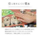 デスクマット〔大〕 デスクマット 子供 学習机 マット 机マット 大サイズ キッズ 透明 日本製 おしゃれ 男の子 女の子 世界地図 恐竜 動物 ぼん家具