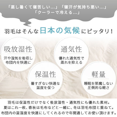 ダウンケット〔エクセルゴールドラベル・Dサイズ〕