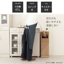 木製ダストボックス 45L ゴミ箱 45リットル 45L ダストボックス ごみ箱 スリム おしゃれ フタ付き キャスター 木製 大容量 キッチン 台所 リビング 幅25 縦型 スイング 密閉 ぼん家具