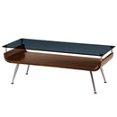 スタイリッシュセンターテーブル テーブル センターテーブル ローテーブル ガラス おしゃれ 棚付き 木製 収納 モダン スリム コンパクト 座卓 リビング 長方形 脚 スチール ぼん家具