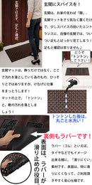 玄関マット 玄関マット エントランス 家具 おしゃれ 北欧風 屋外 ガーデン アウトドア ぼん家具